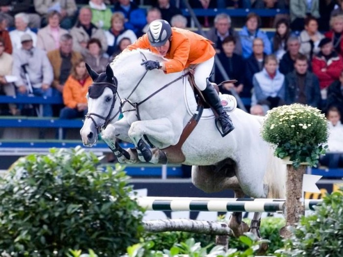 Stallion of the month October: Berlin (Cassini I x Caretino)