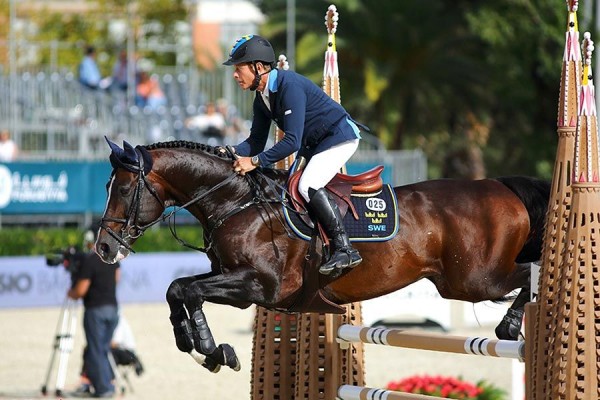 Stallion of the month August Casall Ask (Caretino x Lavall I)